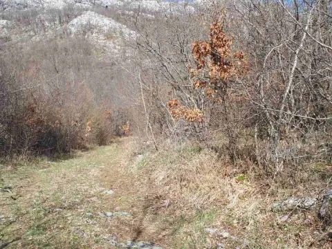 Prodaja, plac, 93700m², Kotor, Crna Gora - image 7