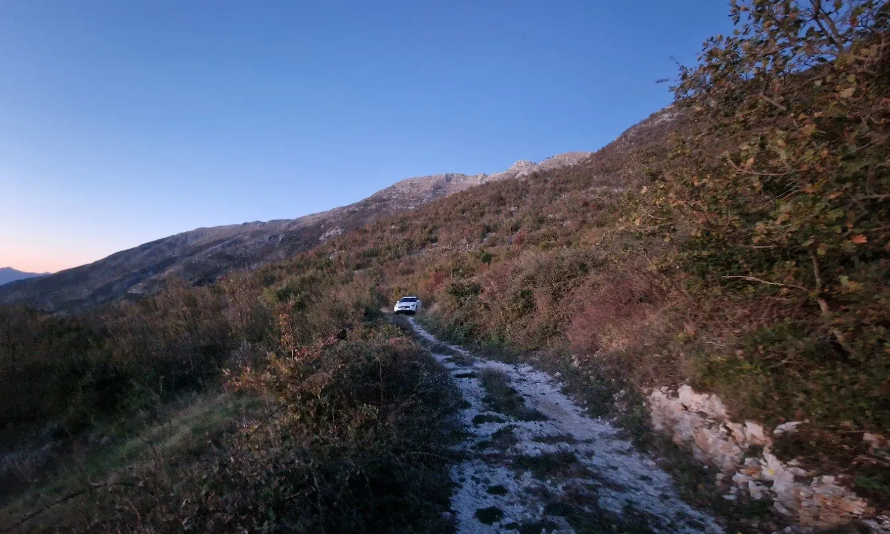 Prodaja, plac, 42305m², Njeguši, Cetinje