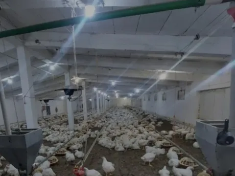 Prodaja, poslovni prostor, 2888m², Urovci, Obrenovac - image 9