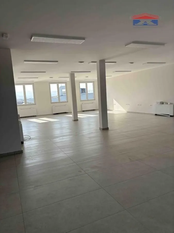 Rent, office space, 250m², Veternik, Novi Sad Sve Podlokacije