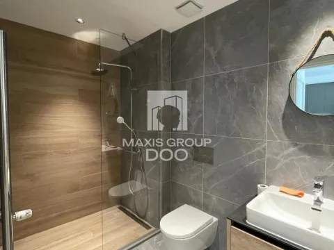 Izdavanje, dvosoban stan, 50m², Savski Venac, Beograd - image 7