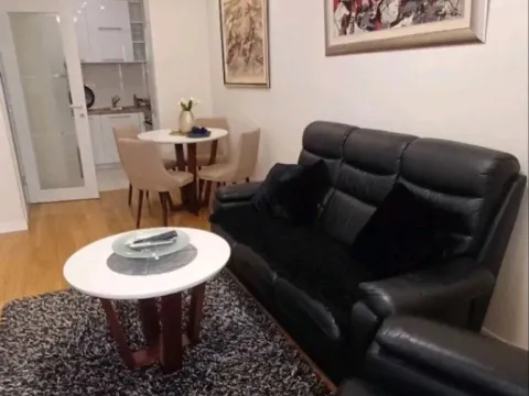 Izdavanje, jednosoban stan, 45m², Central Point, Podgorica - image 2