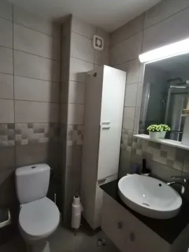 Practical bathroom with a sink and toilet. - image 19