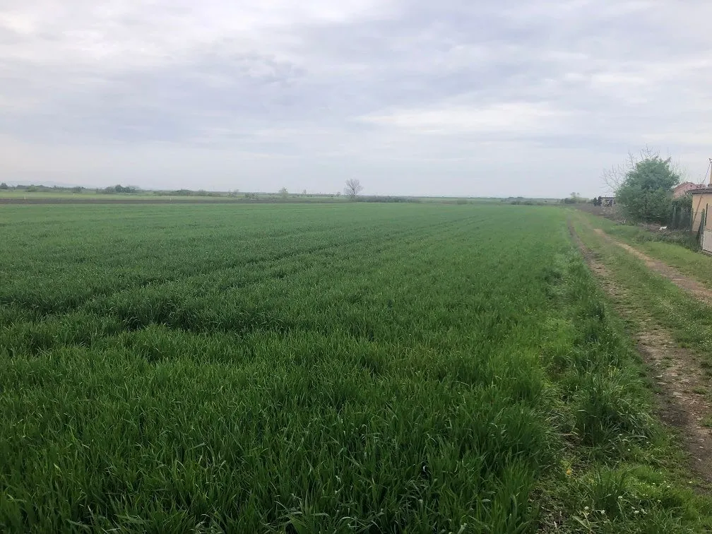 Prodaja, plac, 11200m², Zemun Ugrinovci, Zemun Sve Podlokacije