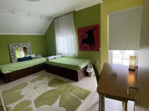 Izdavanje, kuća, 399m², Veternik, Novi Sad Sve Podlokacije - image 7