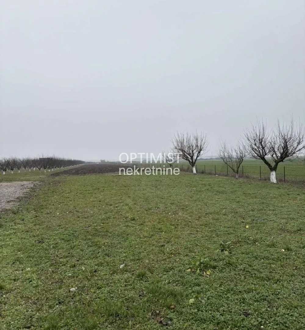 Prodaja, plac, 11000m², Zemun Ugrinovci, Zemun Sve Podlokacije