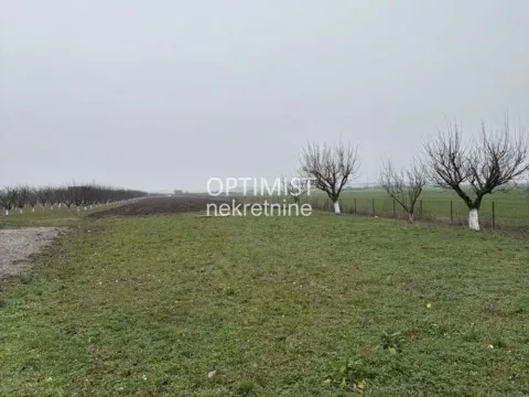 Sale, land lot, 11000m², Zemun Ugrinovci, Zemun Sve Podlokacije - image 9