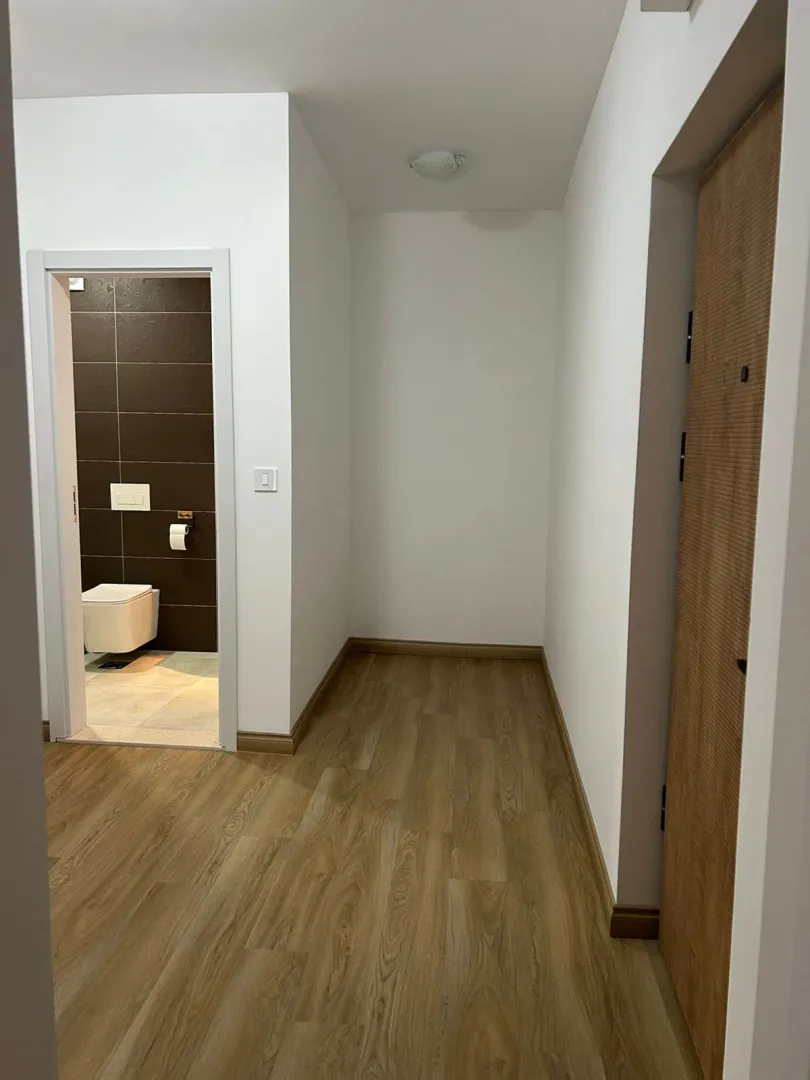 Sale, one bedroom apartment, 60m², Lazi, Budva