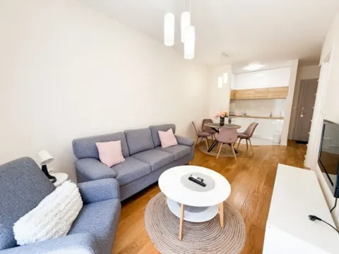 Izdavanje, jednosoban stan, 40m², Central Point, Podgorica