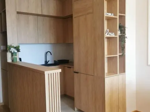 Izdavanje, dvosoban stan, 45m², Centar, Novi Sad - image 9