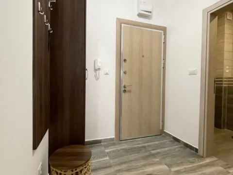 Izdavanje, jednosoban stan, 50m², Stari Aerodrom, Podgorica - image 17