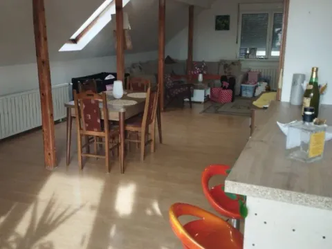 Sale, house, 363m², Stara Pazova, Srbija