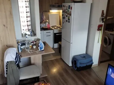 Prodaja, jednosoban stan, 29m², Adice, Novi Sad Sve Podlokacije - image 2