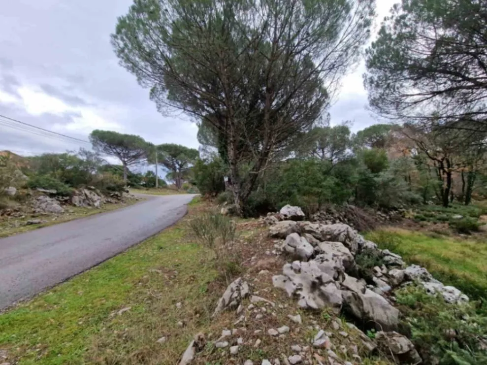 Prodaja,  zemljište, 1150m2, Zagora, Kotor
