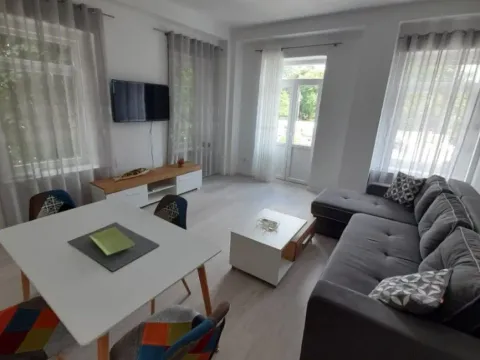 Izdavanje, jednosoban stan, 55m², Centar, Cetinje - image 7