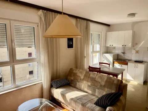 Rent, one bedroom apartment, 30m², Topla, Herceg Novi - image 2