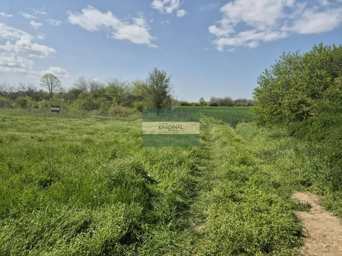 Prodaja, plac, 2273m², Vinorača, Jagodina