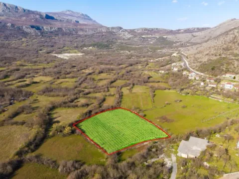 Sale, land lot, 55132m², Piperi, Podgorica - image 2