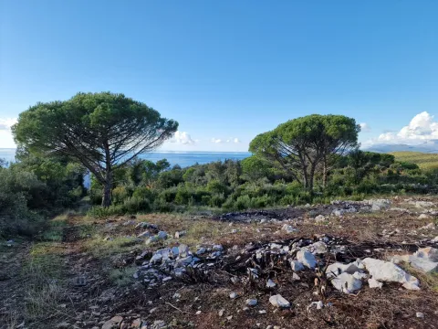 Prodaja, plac, 930m², Zagora, Kotor - image 18