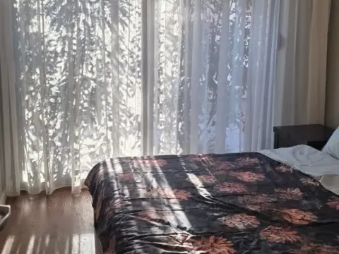 Rent, one bedroom apartment, 50m², Donja Lastva, Tivat - image 9