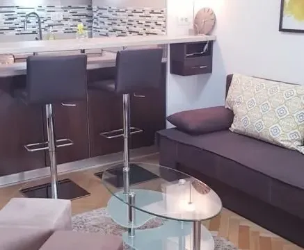 Rent, one bedroom apartment, 30m², Centar, Novi Sad - image 9