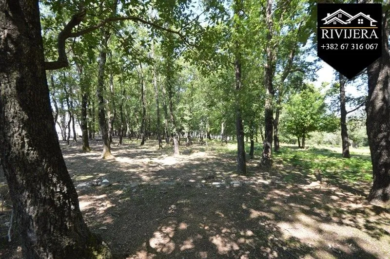 Prodaja, plac, 19000m², Podi, Herceg Novi