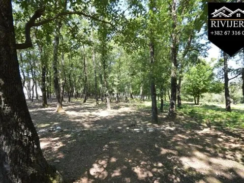 Prodaja, plac, 19000m², Podi, Herceg Novi - image 10