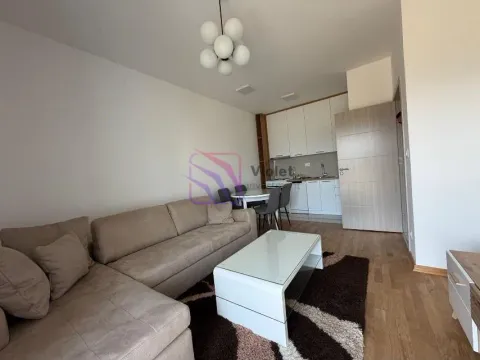 Rent, one bedroom apartment, 40m², Zabjelo, Podgorica - image 2