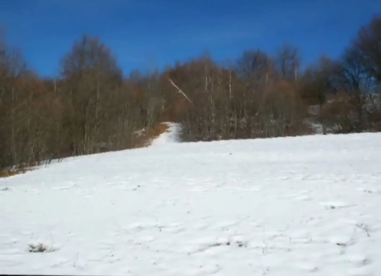 Zimi prekriven plac sa šumom u pozadini.