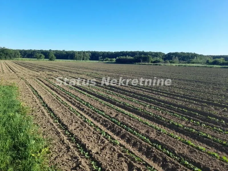 Prodaja, kuća, 194m², Šid, Srbija