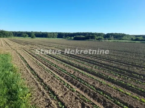 Prodaja, kuća, 194m², Šid, Srbija - image 45