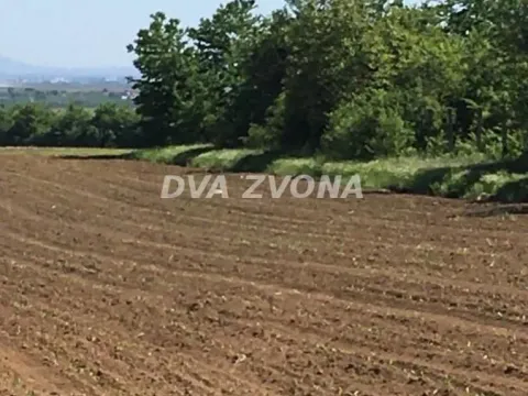 Prodaja, plac, 1300m², Čortanovci, Inđija - image 3