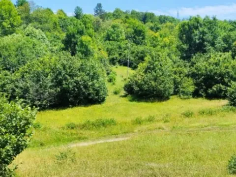 Sale, land lot, 3021m², Vladoš, Kolašin - image 8