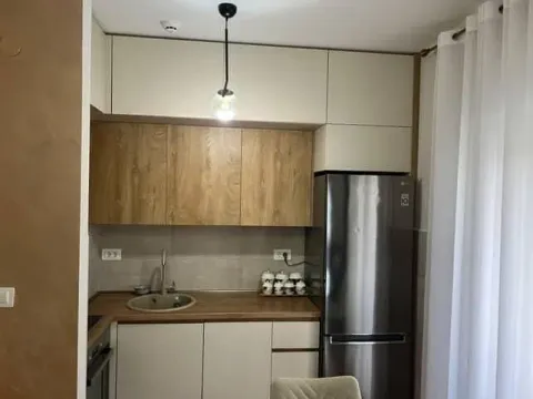 Izdavanje, jednosoban stan, 47m², City Kej, Podgorica - image 5