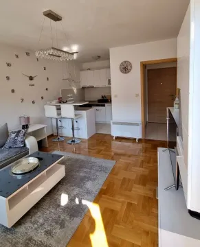 Izdavanje, jednosoban stan, 44m², Stari Aerodrom, Podgorica - image 3