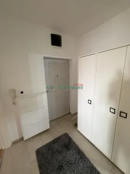 Izdavanje, dvosoban stan, 50m², Centar, Novi Sad - image 17