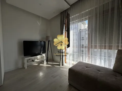 Izdavanje, jednosoban stan, 35m², Podgorica, Crna Gora - image 3