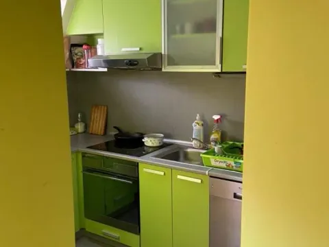 Prodaja, dvosoban stan, 53m², Centar, Jagodina - image 3