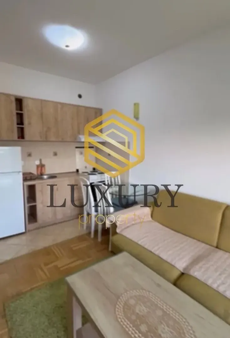 Izdavanje, jednosoban stan, 45m², Stari Aerodrom, Podgorica