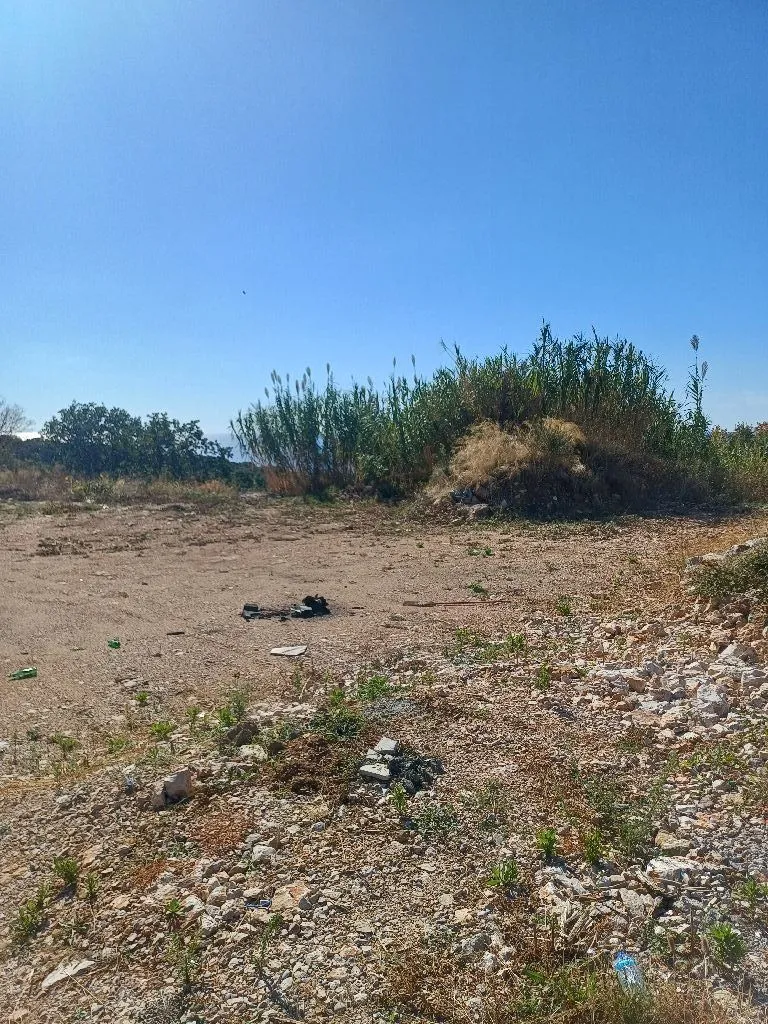 Pogled na neizgrađeno zemljište sa niskim rastinjem i travom.