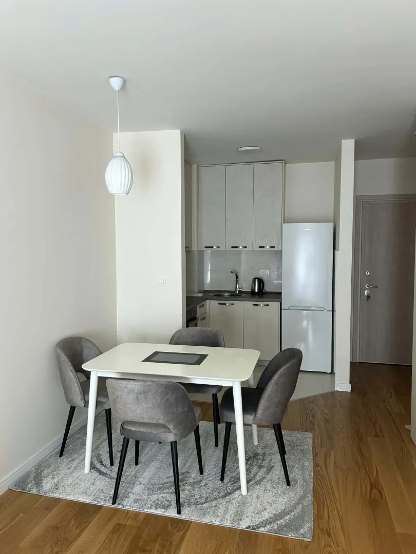 Izdavanje, jednosoban stan, 43m², Central Point, Podgorica
