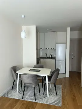 Izdavanje, jednosoban stan, 43m², Central Point, Podgorica - image 4