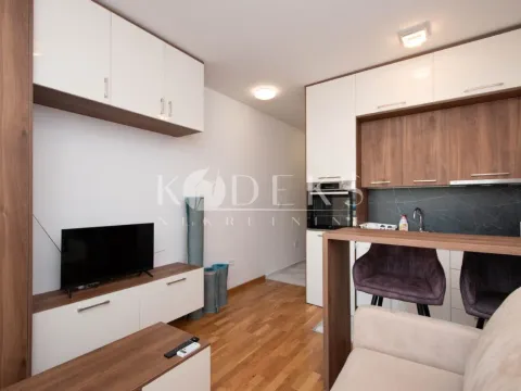 Izdavanje, garsonjera, 23m², Stari Aerodrom, Podgorica - image 4