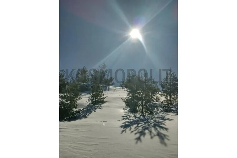 Prodaja, plac, 6930m², Mokra gora, Tara