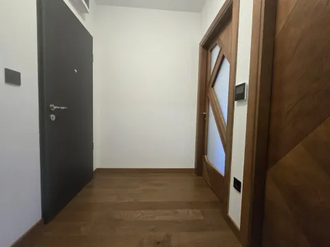 Izdavanje, jednosoban stan, 49m², Ljubović, Podgorica - image 10