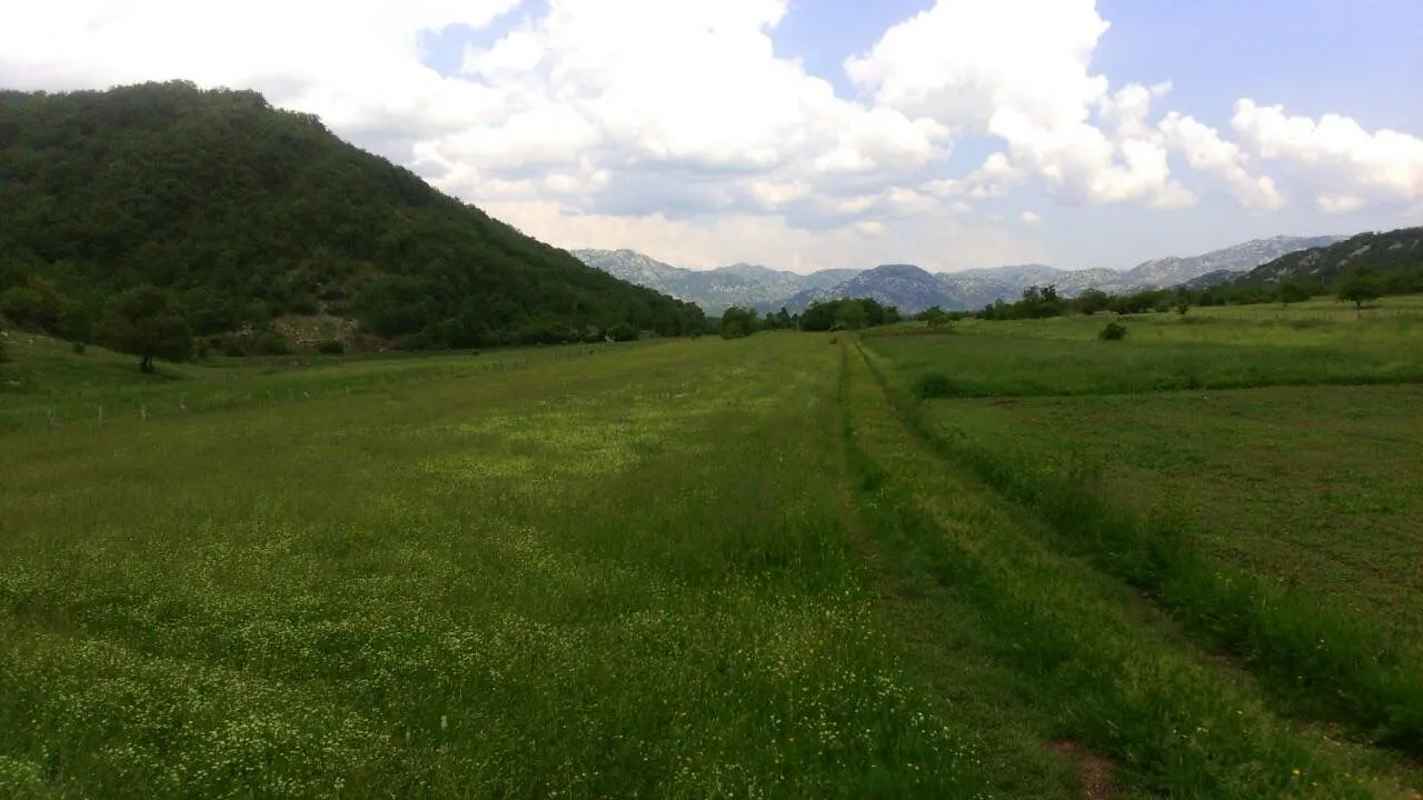 Prodaja, plac, 218000m², Nikšić, Crna Gora