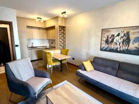 Izdavanje, jednosoban stan, 48m², Ljubović, Podgorica - image 8