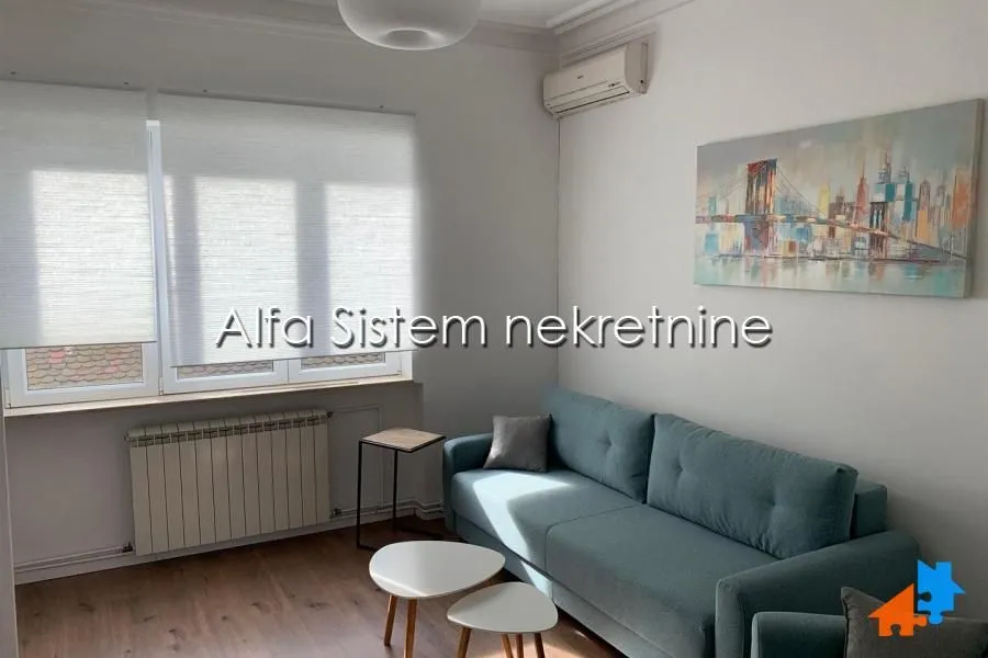Izdavanje, dvosoban stan, 56m², Vračar Centar, Vračar Sve Podlokacije