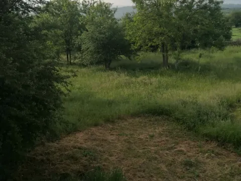 Prodaja, kuća, 345m², Babe, Sopot - image 6