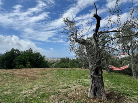 Izdavanje, jednosoban stan, 30m², Stari Bar, Bar - image 10
